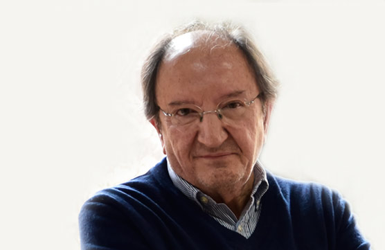 Director del programa